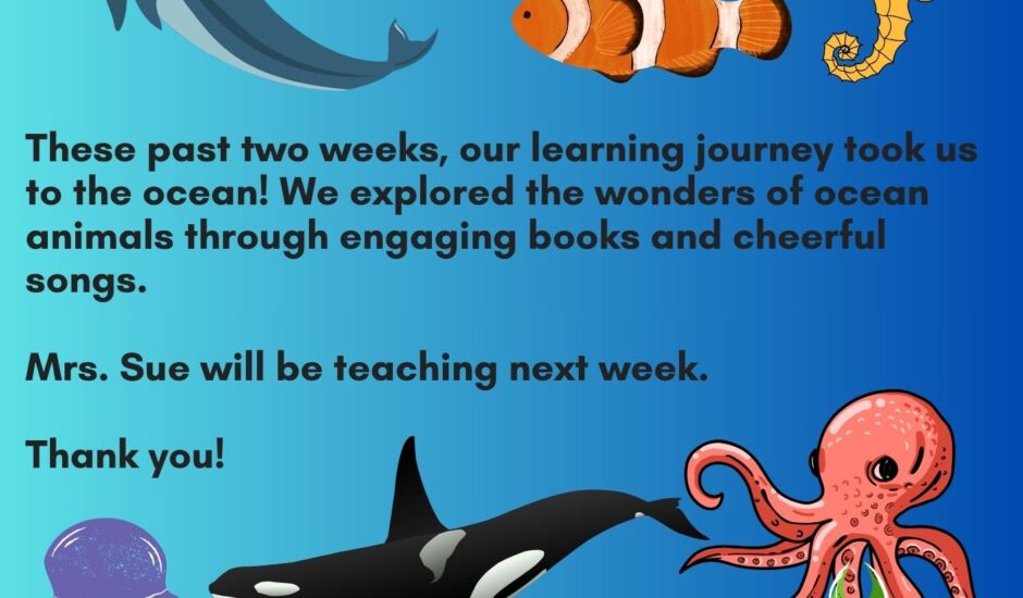 What’s Happening Summer Care